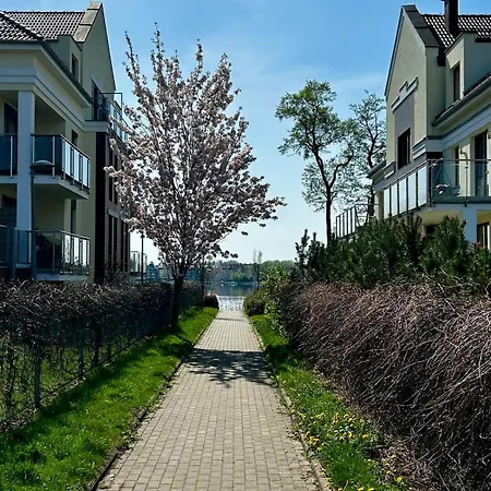 Costa Nad Brzegiem Jeziora -